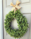 Indoor or Outdoor Boxwood (Made to Order)